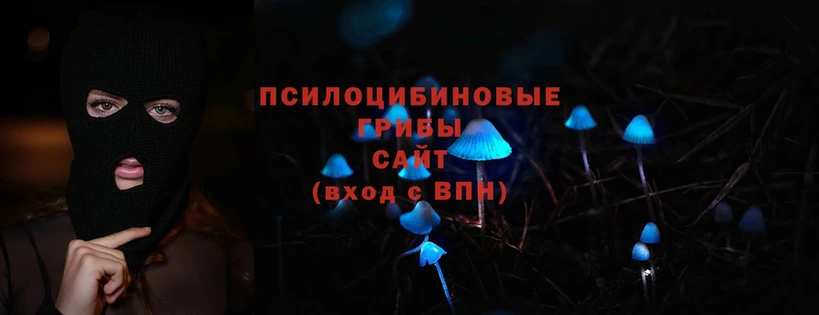 Псилоцибиновые грибы Magic Shrooms  Бахчисарай 